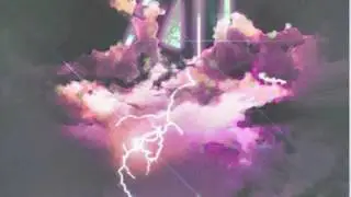 Zoo Logic - Thunder Boar