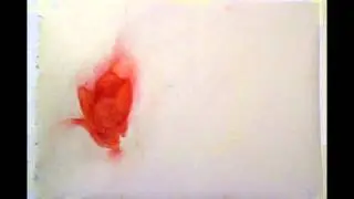 PastelAnimation Beginning Sequence