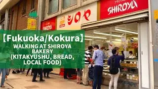 【Fukuoka/ Kokura】Walking at Shiroya Bakery（Kitakyushu, Bread, Local Food etc）