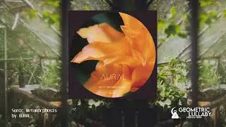 AURAL - Sonic Metamorphosis [Meditative, Atmospheric, Ambient]
