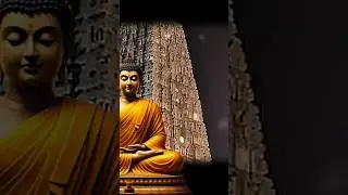 The Bodhgaya Protest against The Bodhgaya Act #bodhgaya #buddhistrights #religiousfreedom #bhimarmy
