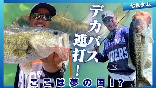 ビッグバスを追え！猛暑の七色ダムに挑む‼【ルアー合衆国】