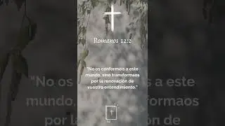 Estas frases b&iacute;blicas 💬 transmiten sabidur&iacute;a y aliento espiritual. #versiculo #biblia