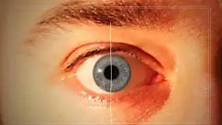 Biometric Security Video