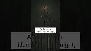 A THE MOON ILLUMINATES THE RIGHT | | ytviral #trending #tafseerquran #wowmuslim #viral #ytshortsindi