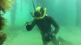 Vintage SCUBA Dive at Flinders Pier, Melbourne, Australia. (New Years Day 2014)