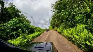 Driving through the jungle of Panama #onewalkaholic #travel #panama #jungle