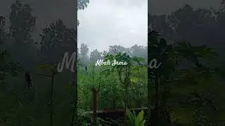 Hujan deras di bulan Januari, membawa keberkahan di desa Kupuk Ponorogo.😊💪🇮🇩