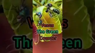 The strange secret of the Venus flytrap: a plant that can count!😳