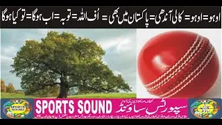🏏Pak Vs Wi Test Series Schedule 2025 | 🗓️ Complete Match Dates & Updates