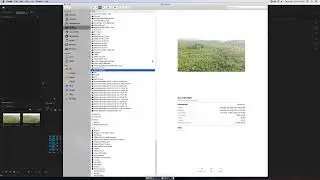 Besic Colour Correction Tutorial In Adobe premiere Pro for beginners