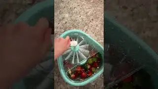 Fruit Cleaner Spinner 🍓🍒 #amazon #fruit #amazonfinds