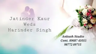 Jatinder Kaur Weds Harinder Singh ll Ankush Studio Cont. 89687 41015, 98772 09715