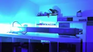 H&auml;nsch DBS 975 XENON DOPPELBLITZ