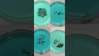 Watch This Liquid Metal Move with the Power of Chemistry! #chemistry #science