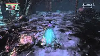 Bloodborne&trade; Bloodlicker spawn captured on video