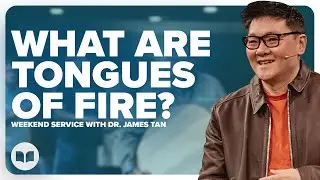 Power and Fire 1 | Dr. James Tan | LW
