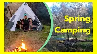 Spring tent camping with German Shepherds