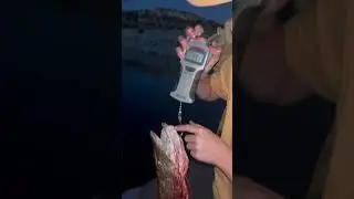My pb pike