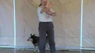Bagua Snake Boxing: