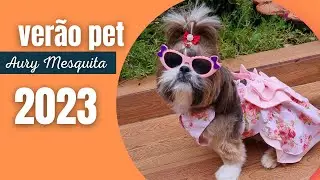 Vestido de ver&atilde;o para os pets/ Molde gr&aacute;tis no blog / Ver&atilde;o Pet 2023