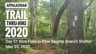 2020 Appalachian Trail Thru-hike: Day 51- Rice Field Shelter to Pine Swamp Branch Shelter