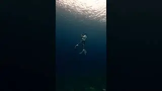 Beautiful day in Free dive Project PH | Insta360 Moments #freediver #freediverlife #freedivers