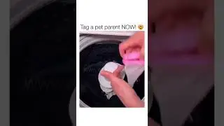 Laundry Pet Hair Catcher from Indigopetco.com