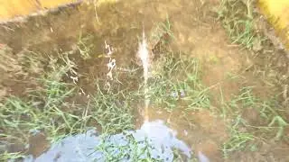 Drainage system failure 2