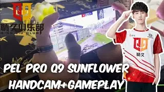 Pel Chinese pros Q9 Sunflower handcam + gameplay&bull;Pubgmobile|Four Finger Gyro Player|Q9 Pubg|BGMI