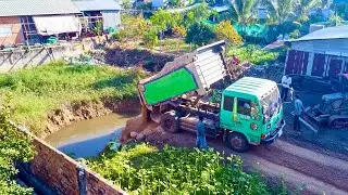 Start Opening New Project!! KOMAT'SU BLACK Dozer DA2P pushing Soil into flooded​ Pond& 5Ton Trucks.
