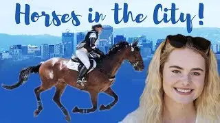 ЛОШАДИ в ГОРОДЕ! 5* троеборье! Австралийское трёхдневное мероприятие | Эта Эсме