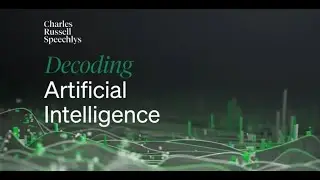 AI and Employment Law: Fairness, Transparency and Workplace Risk