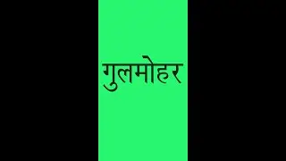 गुलमोहर