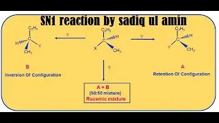SN1 reaction | science wallet