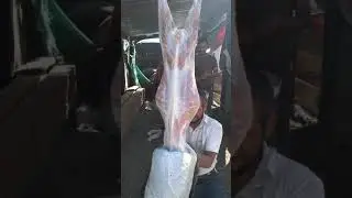 Cómo quitarle la piel a ún borrego