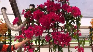 2014 Spring Trials: Vista Farms