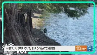 Get up, get out: Bird watching