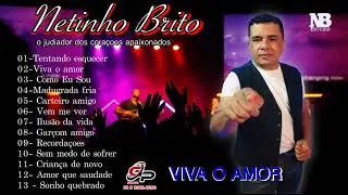 AS MELHORES NETINHO BRITO 2022
