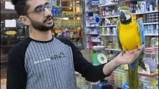 معرض فاضل لكافة انواع الطيور و الاسماك والحيوانات الاليفة في كربلاء