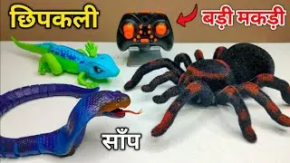 Remote Control-Rc Snake Unboxing & Prank