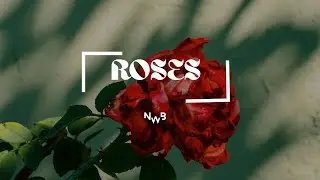 [Free] Rema Rave And Roses type beat 