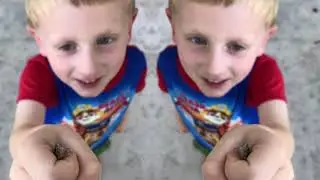 Alistair The Creature Catcher