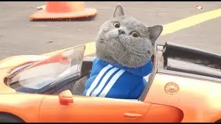 2 Fast 2 Furryest