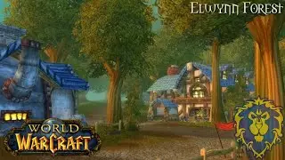 World of Warcraft (Longplay/Lore) - 00088: Elwynn Forest