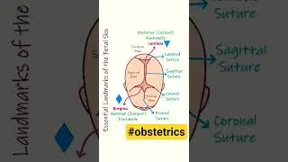 #obgyn#womenshealth#pregnancy#birth#laboranddelivery#childbirth#normaldelivery#birth