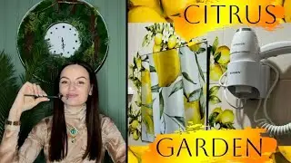 Хоумстейджинг на побережье CITRUS GARDEN 🍋 #интерьер#ремонт#хоумстейджер#хоумстейджинг#эстетика#art 