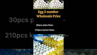 Egg Wholesale Rate Today #egg #wholesale #wholesalemarket #wholesaleprice