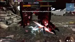 Vindictus einrach spear lann Timeless Rage (no hit)