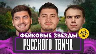 Ноунейм кумиры миллионов. Фейковый прайм медийных големов твича.